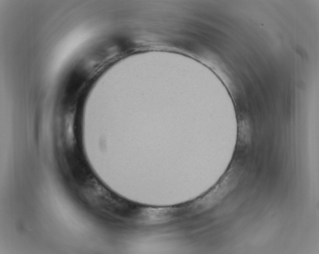X0000112111150200909011140