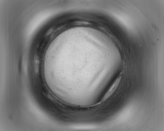 X0000112111151200909011140