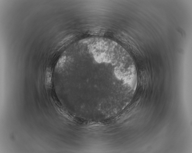 X0000112111154200909011140