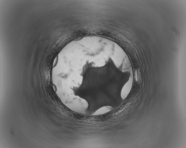 X0000112111155200909011140