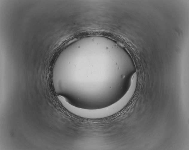 X0000112111157200909011139