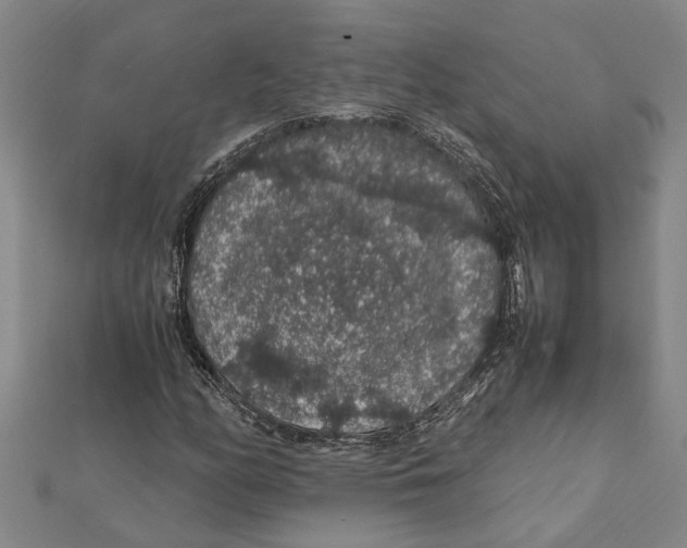 X0000112111158200909011139