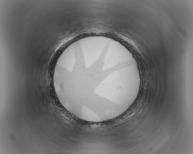 X0000112111160200909011139