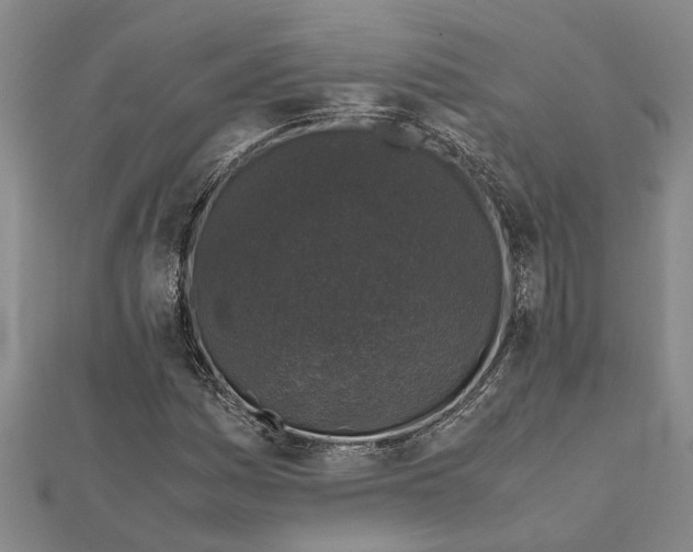 X0000112111161200909011139