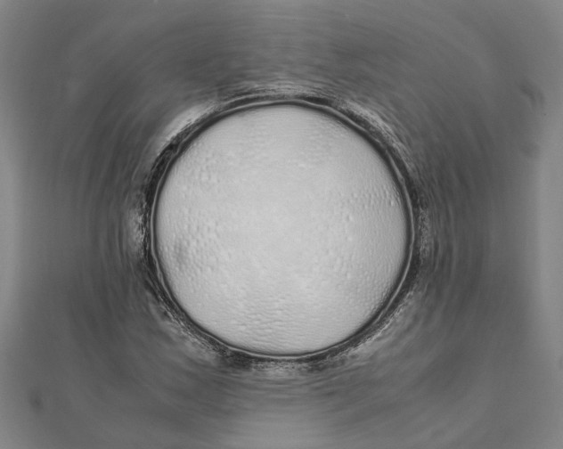 X0000112111163200909011139