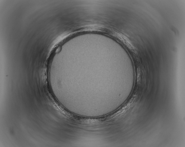 X0000112111164200909011139
