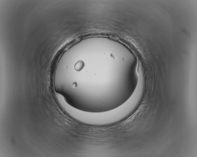X0000112111165200909011139