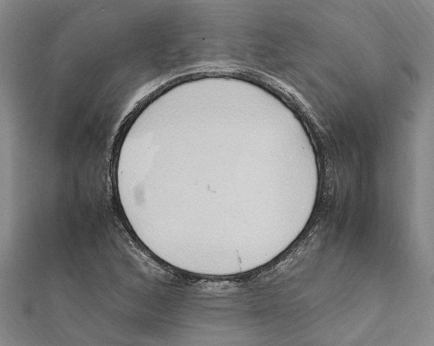 X0000112111168200909011139