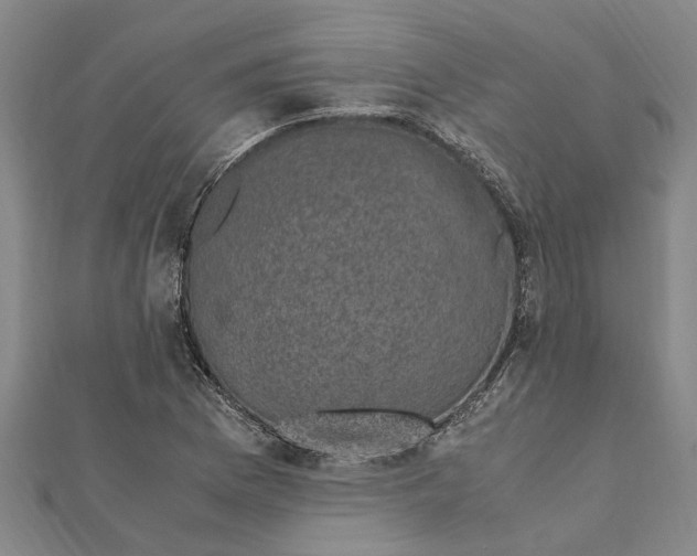 X0000112111169200909011139