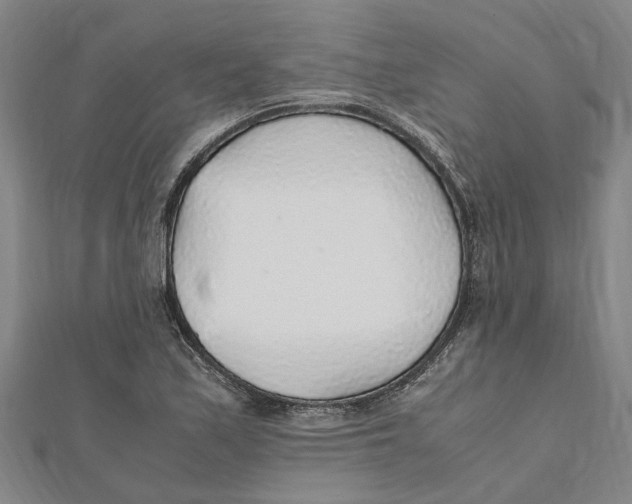 X0000112111171200909011139
