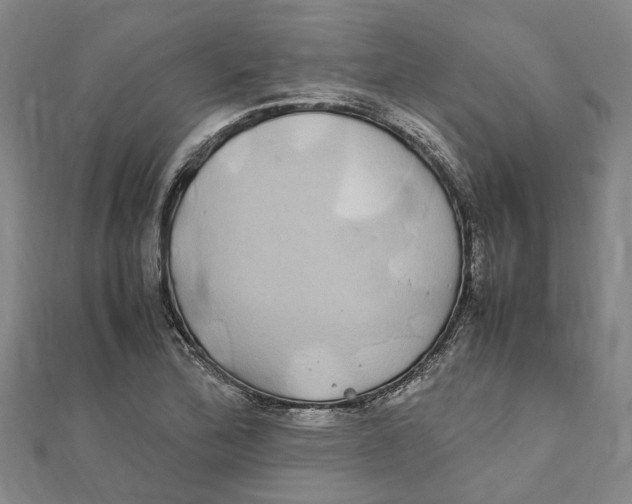 X0000112111172200909011139