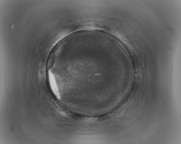 X0000112111173200909011139