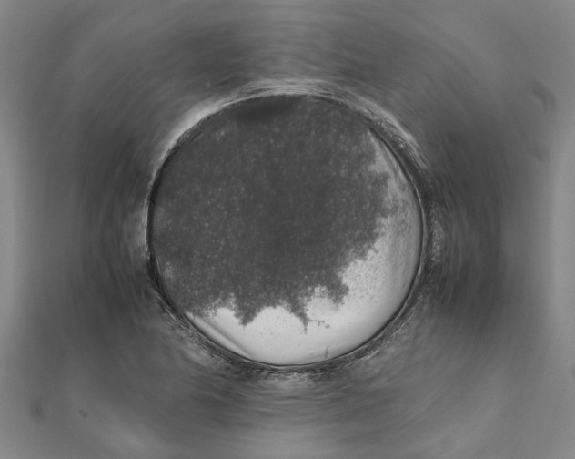 X0000112111174200909011139