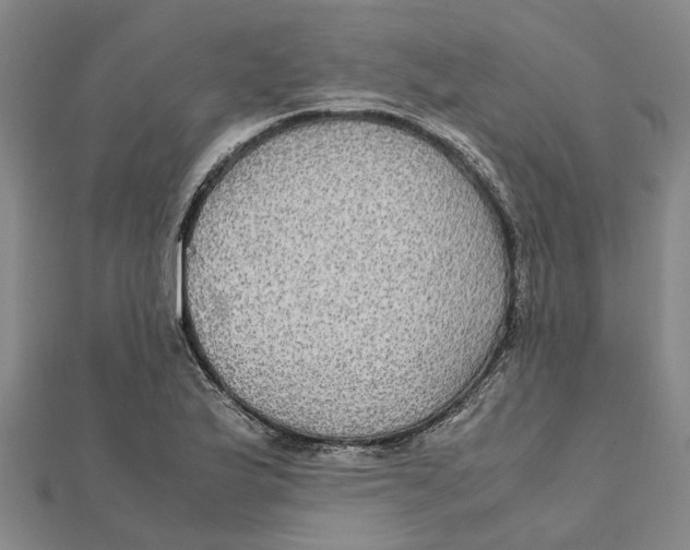 X0000112111175200909011139