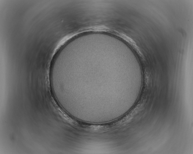X0000112111176200909011139