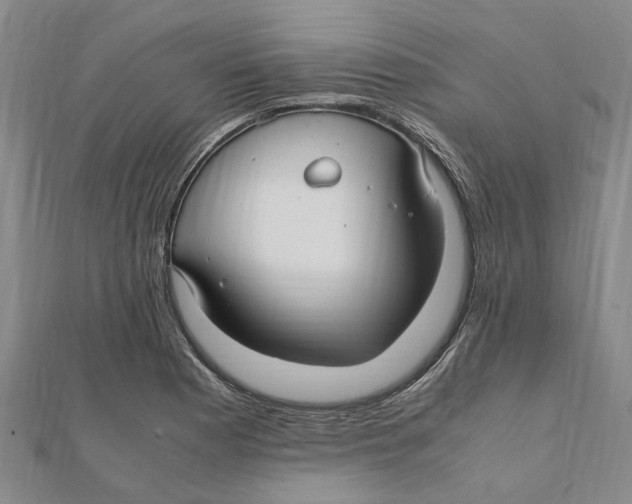 X0000112111177200909011139