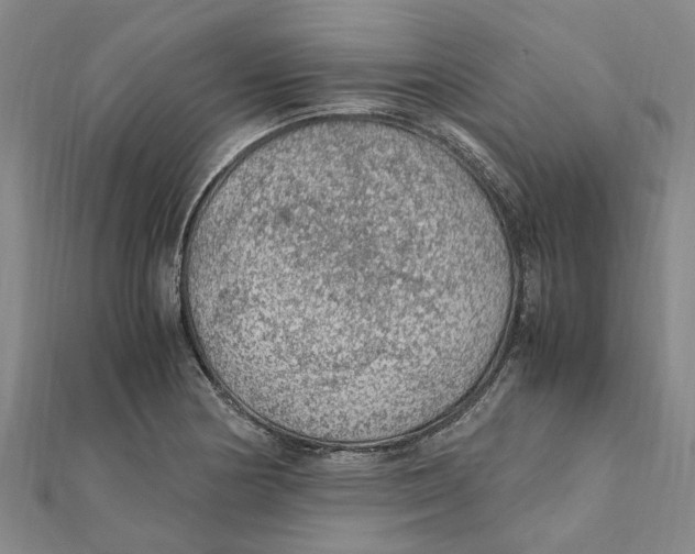 X0000112111178200909011139