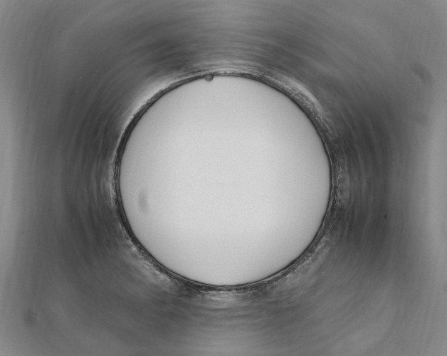 X0000112111182200909011139