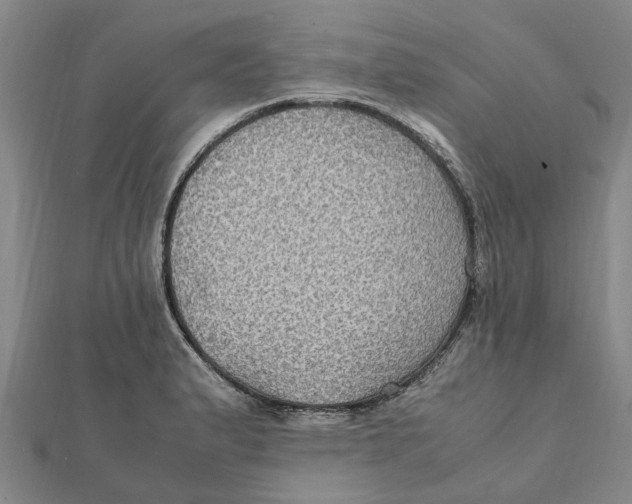 X0000112111183200909011139