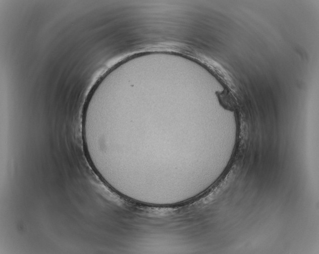 X0000112111184200909011139