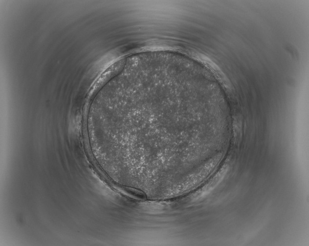 X0000112111185200909011139