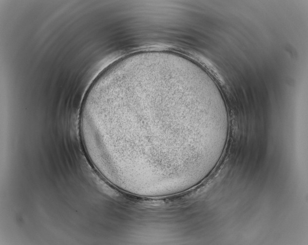 X0000112111186200909011139