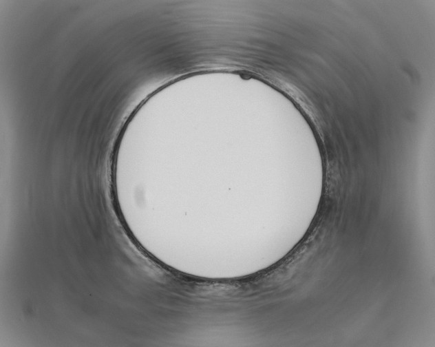 X0000112111187200909011139