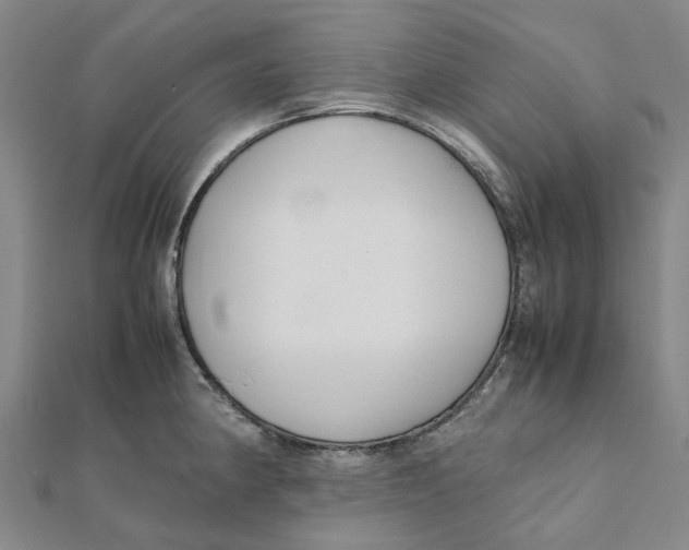 X0000112111190200909011139