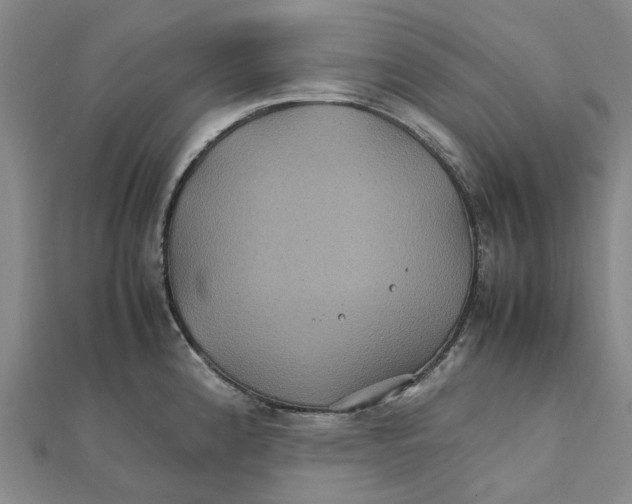 X0000112111192200909011139