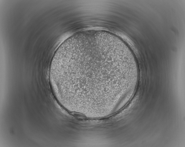 X0000112111193200909011139