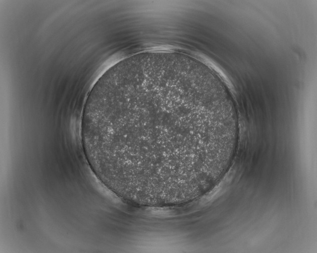 X0000112111194200909011139