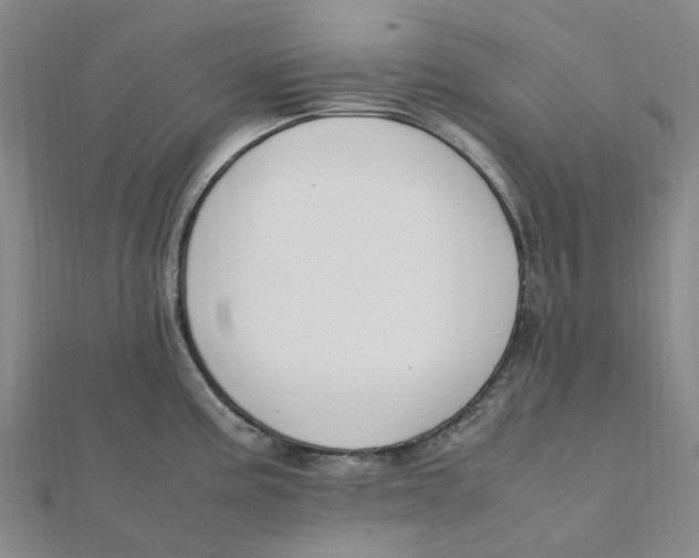 X0000112111195200909011139