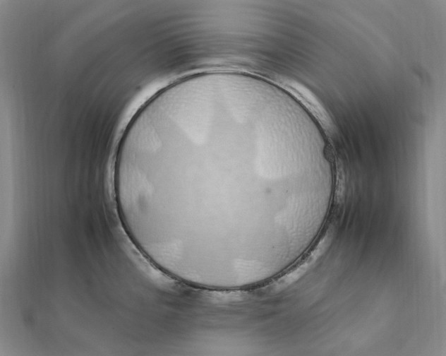 X0000112111196200909011139