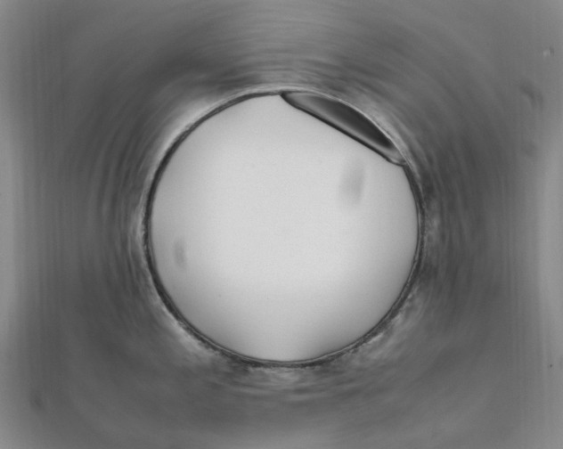 X0000112111197200909011139