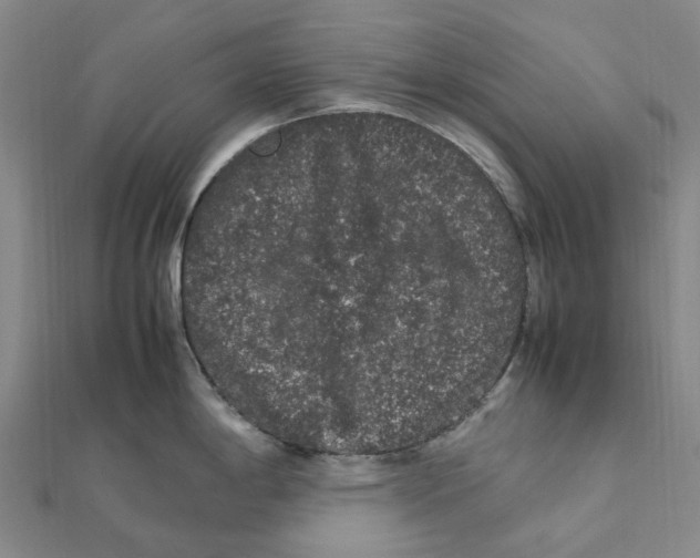 X0000112111198200909011139