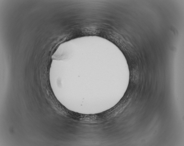 X0000112111201200909011138