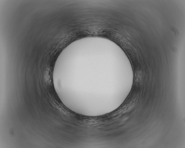 X0000112111202200909011138