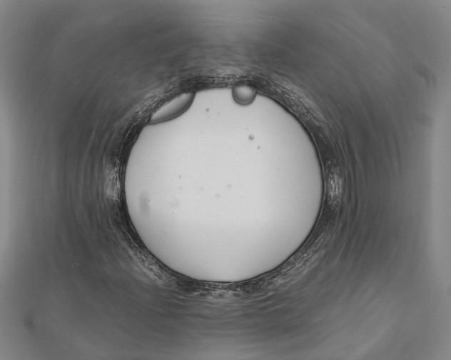 X0000112111204200909011138