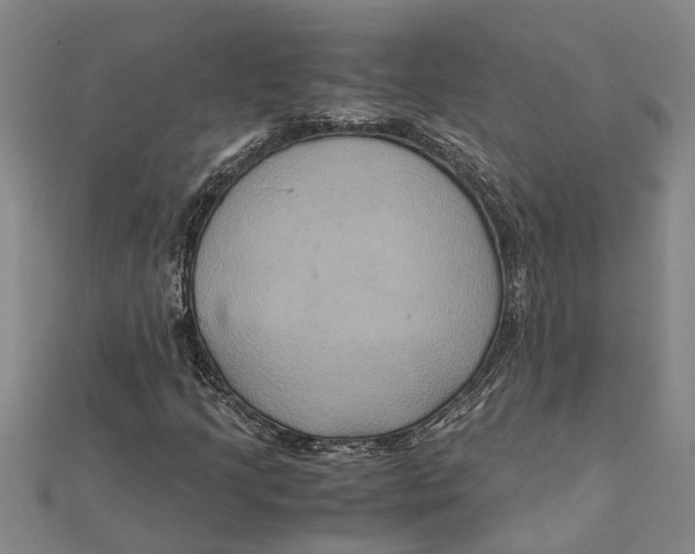 X0000112111205200909011138