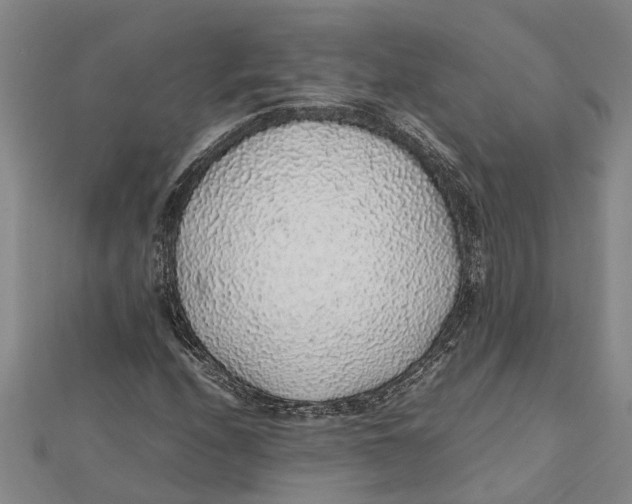 X0000112111208200909011138
