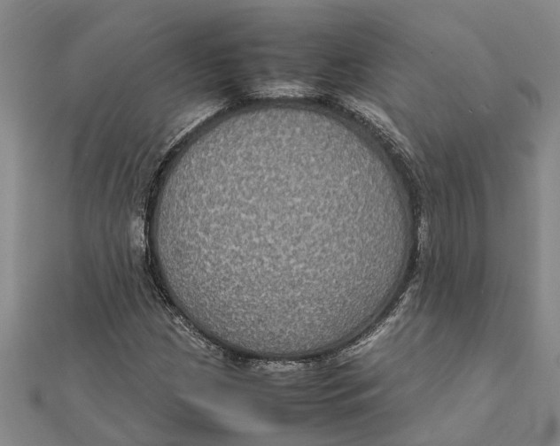 X0000112111209200909011138