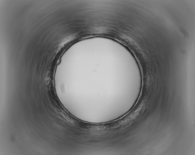 X0000112111210200909011138