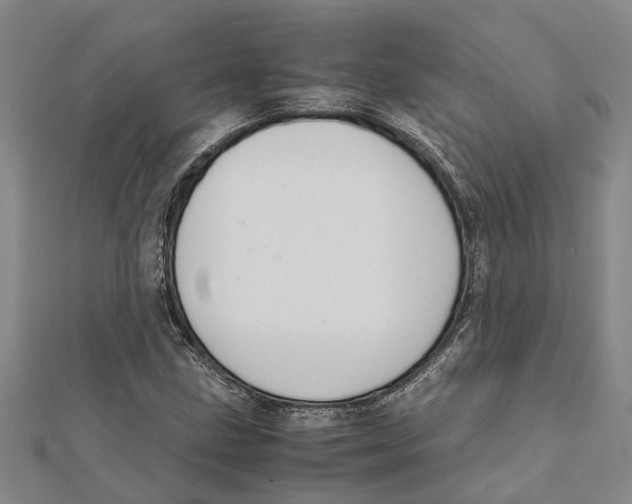 X0000112111211200909011138