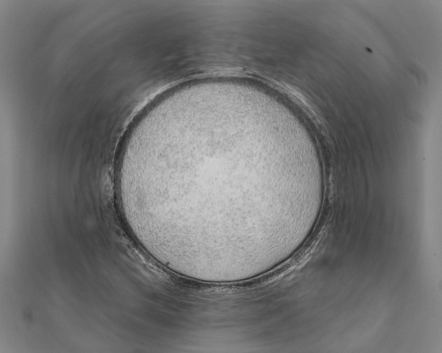 X0000112111212200909011138