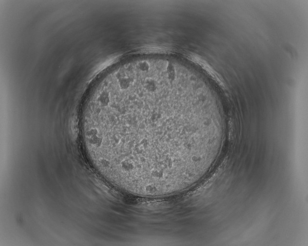 X0000112111213200909011138