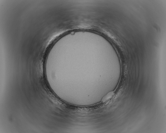 X0000112111214200909011138