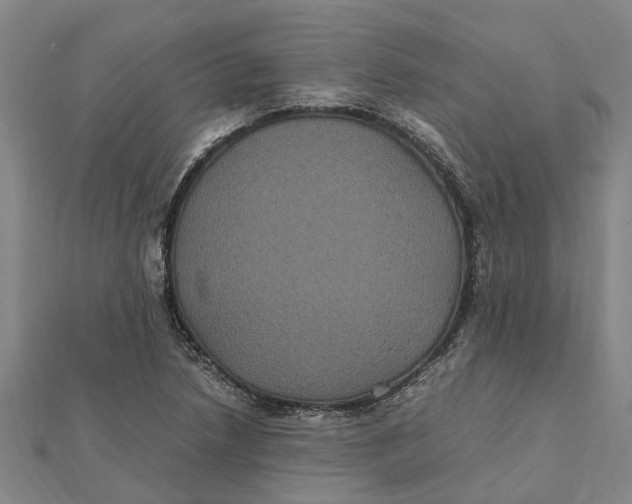 X0000112111218200909011138