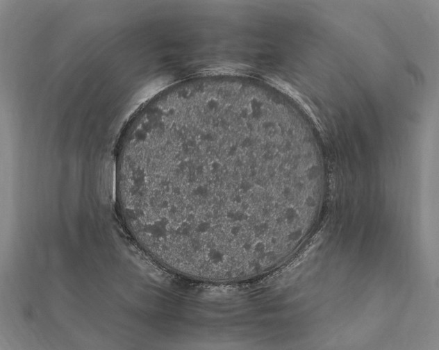 X0000112111219200909011138