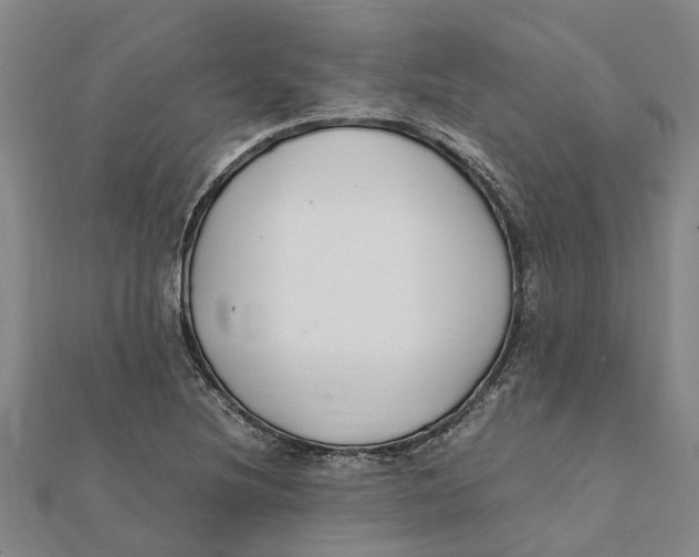 X0000112111220200909011138