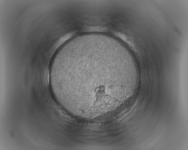 X0000112111221200909011138